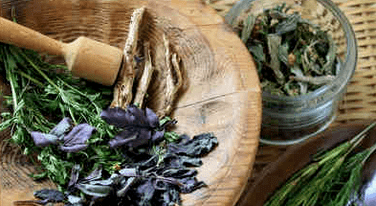 Treatment of psoriasis with folk therapy